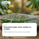 EcoBites Starter Box — lifestyle/use case