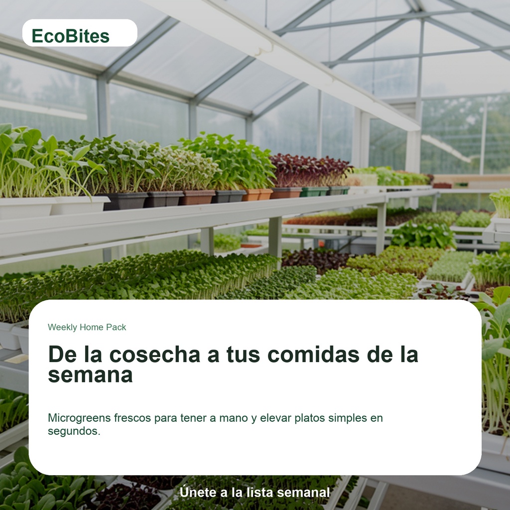 EcoBites Weekly Home Pack — lifestyle/use case