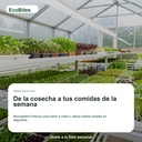 EcoBites Weekly Home Pack — lifestyle/use case
