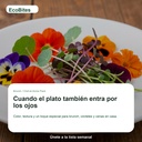 EcoBites Brunch / Chef-at-Home Pack — lifestyle/use case