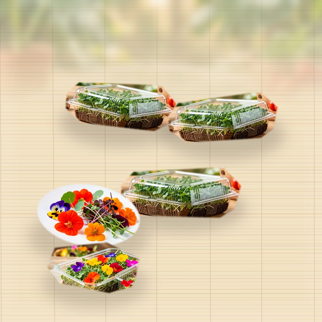 Brunch Pack EcoBites